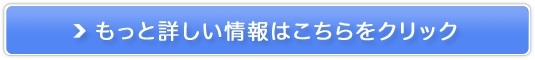 ʐ^fUCi[Y񍐂͂T[rXy\gEFfBOz̔TCg
